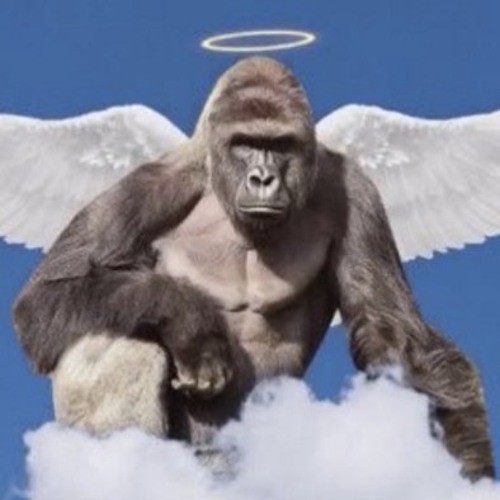 Mix out for Harambe