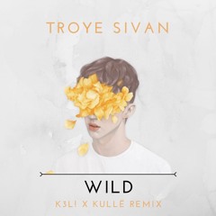 Troye Sivan - WILD (K3L! x Kullë Remix)