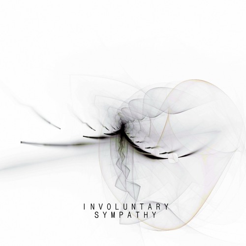 Tensor- Involuntary Sympathy (Album: A Backwards Walk Home)