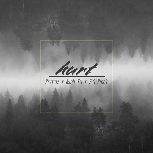 Hurt - Brytinz x Minh Trí x Z.S Binak