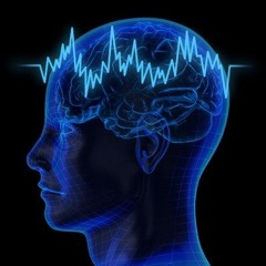 Pound Your Senses
