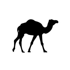 Making Software: Peter Morville interviews Jonah Bailey and Micah Alles