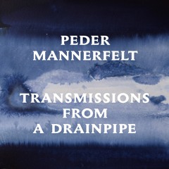 A1 - Peder Mannerfelt - Joan @ The Rave - PM004