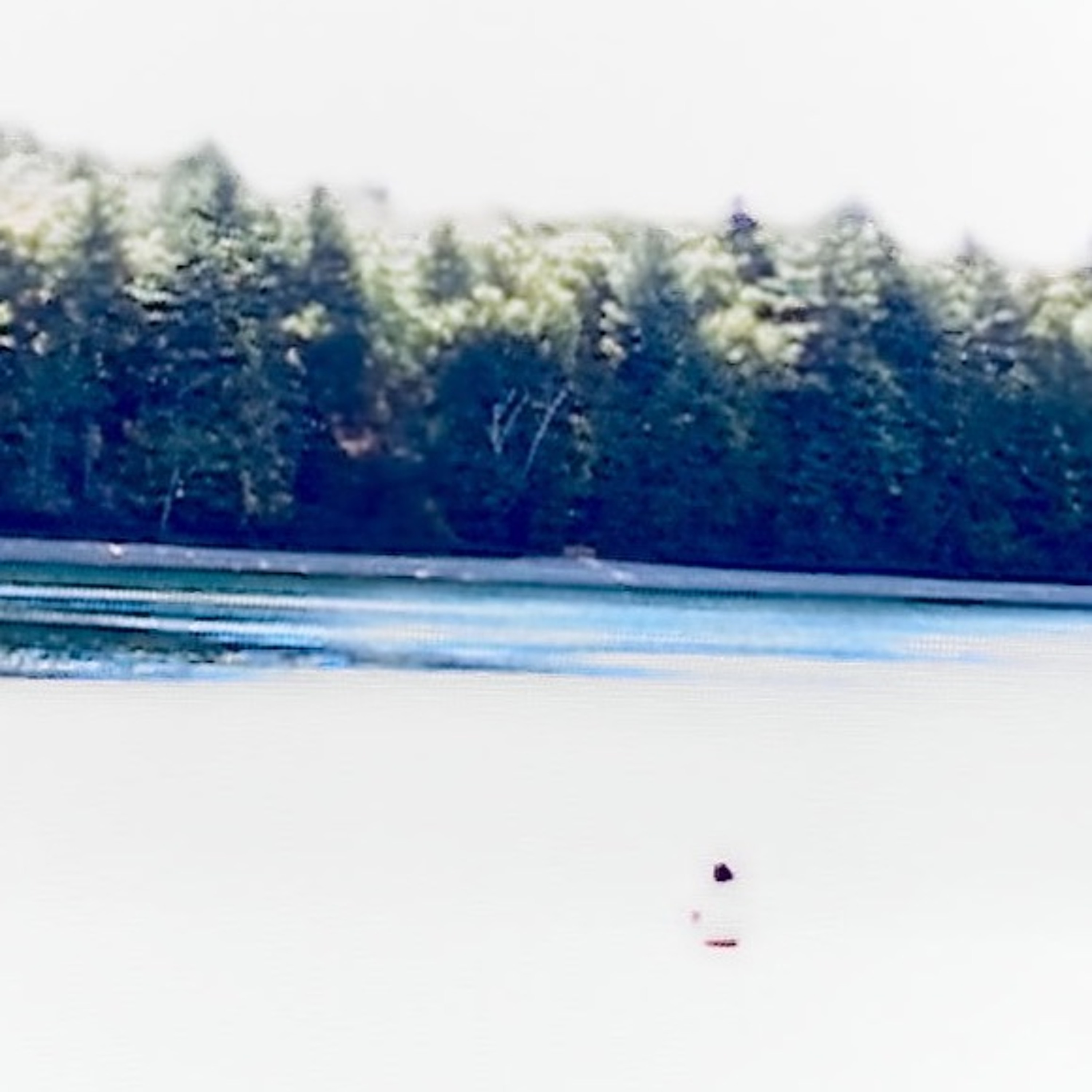 Estuary episode artwork