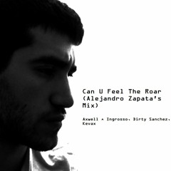 Can U Feel The Roar (Alejandro Zapata's Mix)