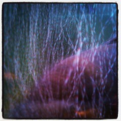 deepdreamin ) ambient