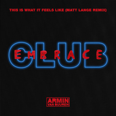 Armin van Buuren feat. Trevor Guthrie - This Is What It Feels Like (Matt Lange Extended Remix)