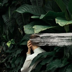 From Indian Lakes - "Come Back"