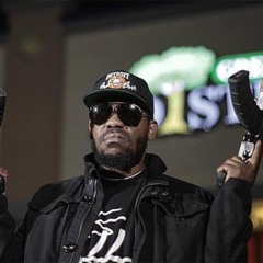 Beanie Sigel - Im Coming (Meek Mill Diss)