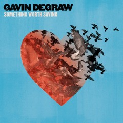 Something Worth Saving (Gavin Degraw)