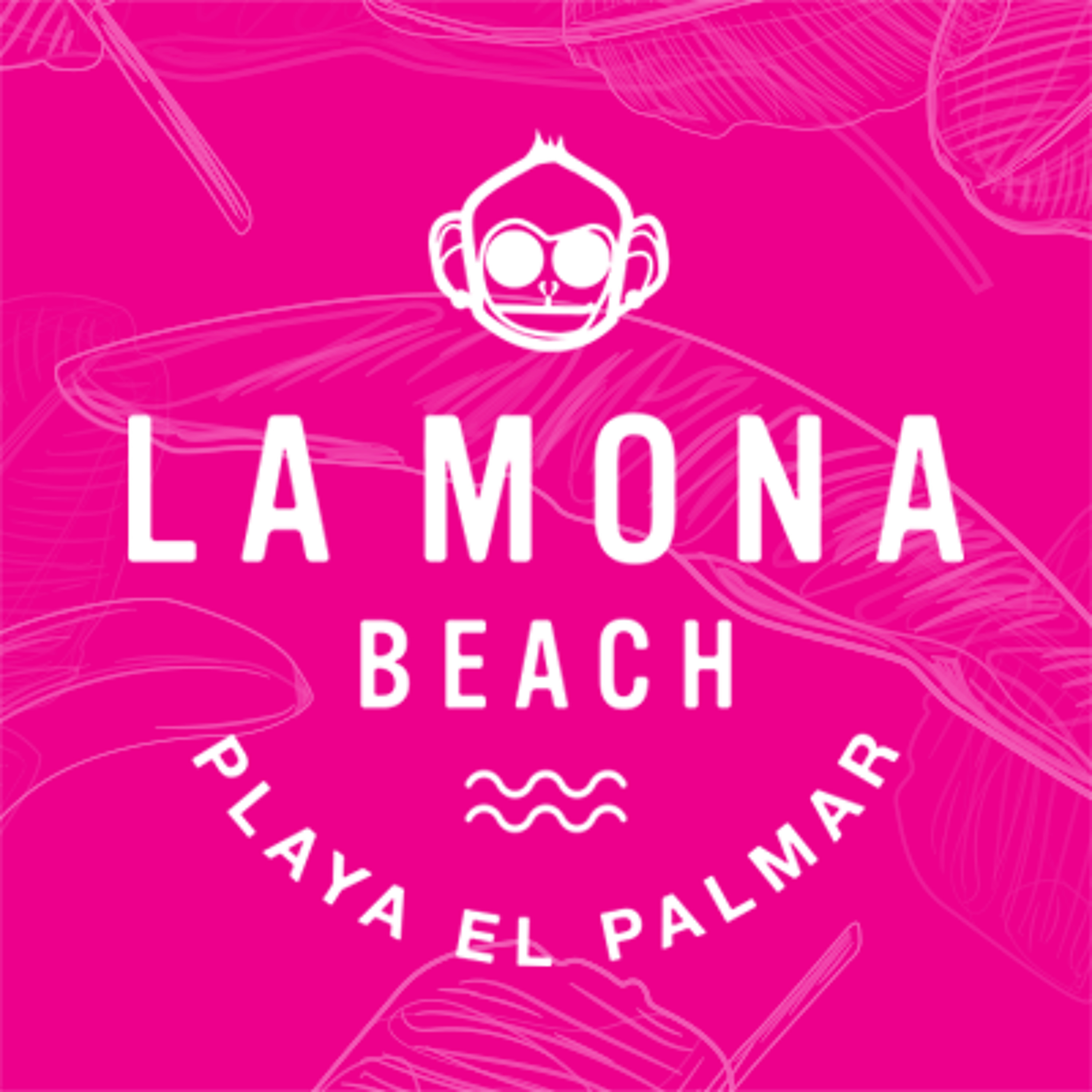 La Mona Beach 2016 episode artwork