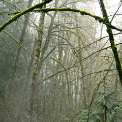 تلاوة خاشعة لأواخر سورة آل عمران إدريس ابكر (إن في خلق السموات والأرض)