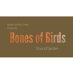 Bones of Birds (SoundGarden Cover)