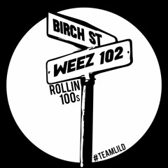 Birch St Weez ft. V-Nasty - Shit Real