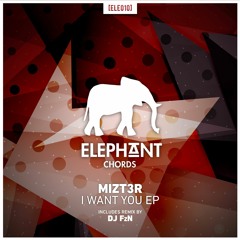 03. Mizt3r - I Want You - I Want You (dj FzN Remix) [Elephant Chords 010]
