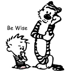 Be Wise