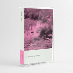 B5 - Ikpathua - Hologram (Swamp Tapes 005)