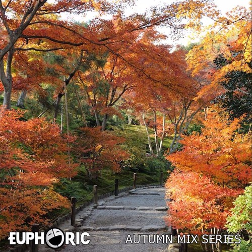 Euphoric Autumn Mix Series