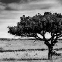 Lost and Hope