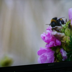 The day my father died