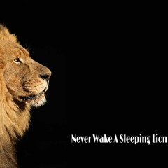 Never Wake A Sleeping Lion