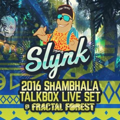 Slynk - LIVE @ Shambhala Fractal Forest (2016)