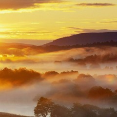 Morning Overture (Intro Bonzai)