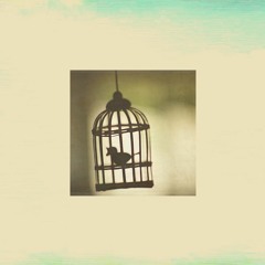 J.T. - Caged Bird