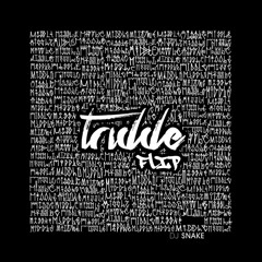 Dj Snake - Middle (Tom Rid Flip)