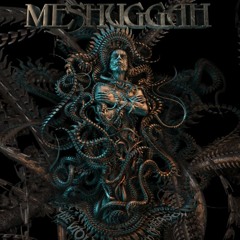 Meshuggah - The Voilent Sleep of Reason Album Review