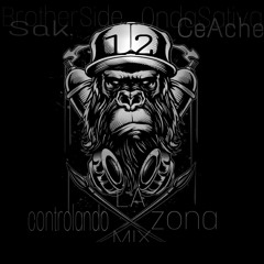 CONTROLANDO LA ZONA-SAK(BrotherSide)FT.CE-ACHE(OndaSativa)MIX