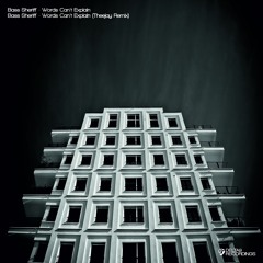 [D9FREE018] Bass Sheriff - Words Can't Explain (FREE DOWNLOAD)