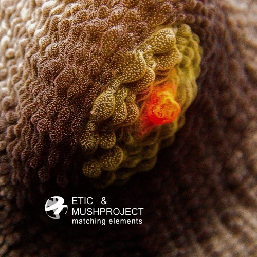 Etic And MushProject - Matching Elements