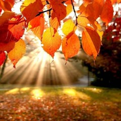 Dreampop & Gaze - Autumn
