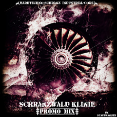 Schranzwald-Klinik Promo