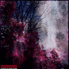 утро 4 марта