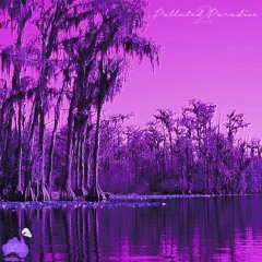 Chetta - Poetic Injustice [Chopped & Screwed] PhiXioN