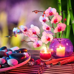 Background Music for Stress Relief