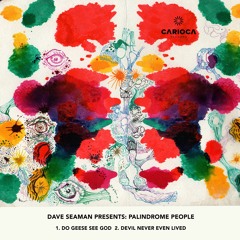 PREMIERE: Dave Seaman - Do Geese See God (Original Mix) [Carioca]