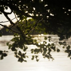 scene04
