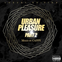 DJ Cappy - Urban Pleasure Part 2