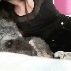 Typing the words i love you dog