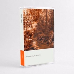 Swamp Tapes 002 - Side B (snippets)