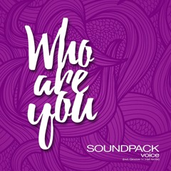 Soundpack - Voice (Groove N' Hat Remix)