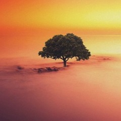 Part 2 From The Methodology Of The Salaf By Abu Hakeem