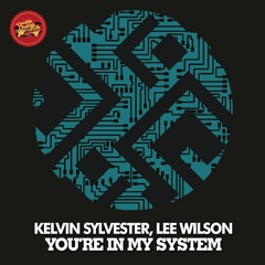 Kelvin Sylvester, Lee Wilson - You're In My System (Original Mix)