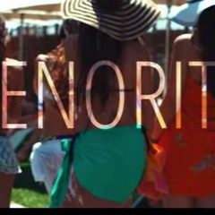 Claydee & Ermal Mamaqi - Senorita (Ejdan Boz Remix)