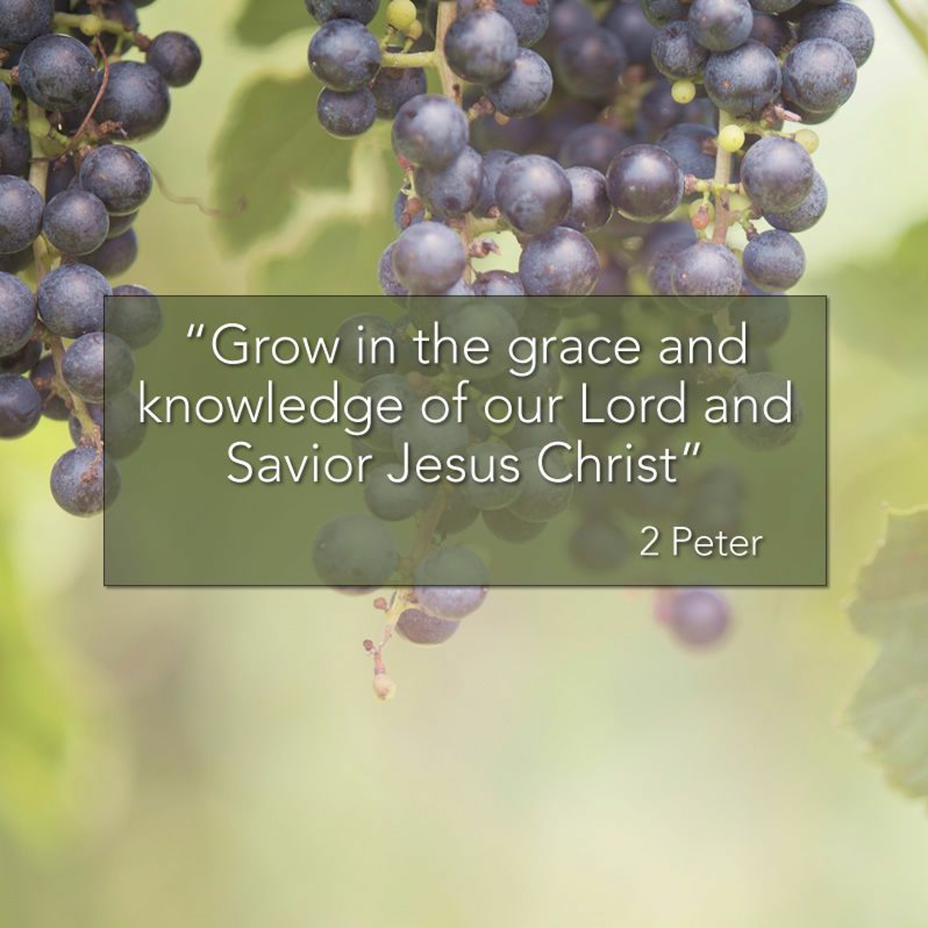 May Grace and Peace be multiplied to you (2 Peter 1:1-2 - 10/2/16 - Dan Harty) episode artwork