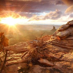 ░░▒▓███► Weeklyz #1 ツ 10/16 ◄███▓▒░░