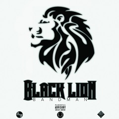 Black Lion/White Tiger